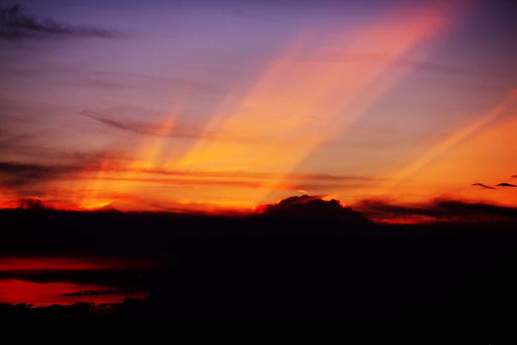 Foto, materiell, befreit, Landschaft, Bild, hat Foto auf Lager,Ein Phnix der Dmmerung, Das Setzen von Sonne, Rot, Die Sonne, Bei Dunkelheit