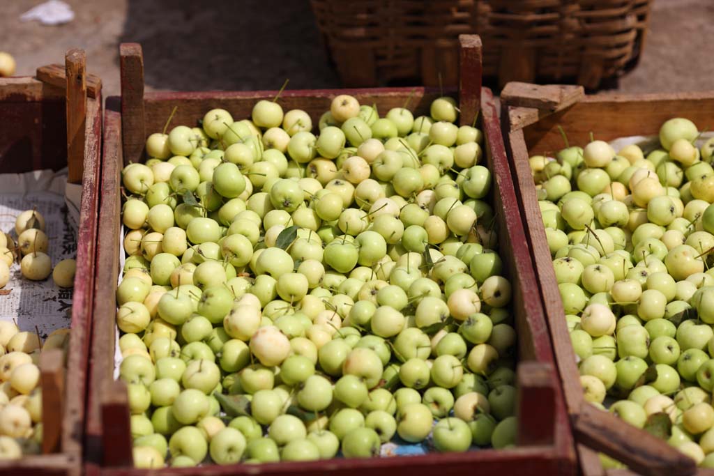 Foto, materieel, vrij, landschap, schilderstuk, bevoorraden foto,Een diepe rode profijt markt, Markt, Straat stal, Boodschappend doend, Leven