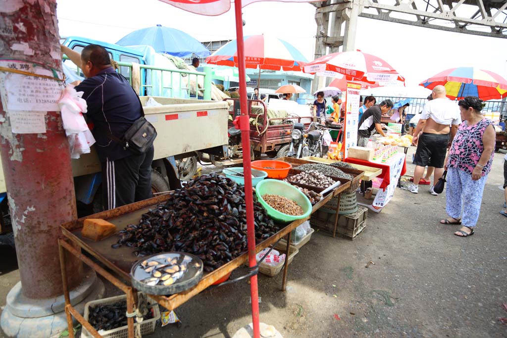 foto,tela,gratis,paisaje,fotografa,idea,Un mercado de ganancia rojo hondo, Mercado, Compartimiento de calle, Compras, Vida