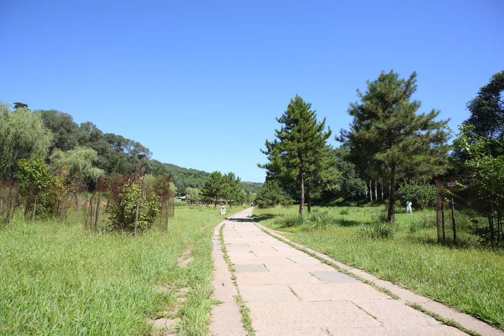 Foto, materiell, befreit, Landschaft, Bild, hat Foto auf Lager,Eine bersommernde Gebirgshtte, blauer Himmel, Tachiki, steinigen Sie Brgersteig, Ch'ing