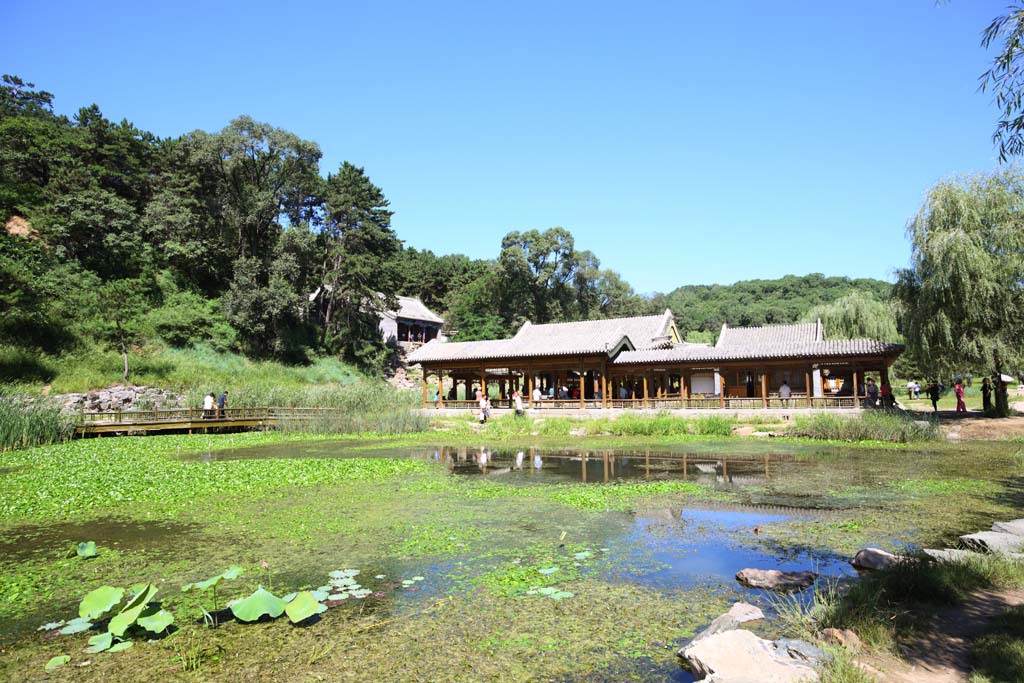 foto,tela,gratis,paisaje,fotografa,idea,Uno veranear que casa de campo de montaa lejana y primavera por muy poco expresan, Laguna, Jardn, Cielo azul, Ch 'ing