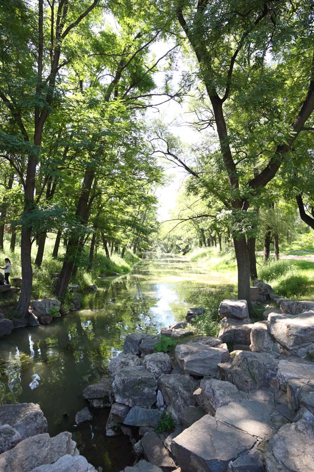 photo,material,free,landscape,picture,stock photo,Creative Commons,Summering mountain cottage River, The shade of a tree, Green, rock, Ch'ing