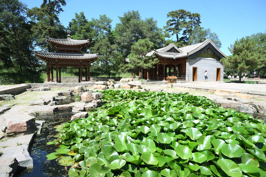 foto,tela,gratis,paisaje,fotografa,idea,Summering xiangyuanyiqing de casa de campo de montaa, Una glorieta, Poesa, Isla de Kanayama, Ch 'ing