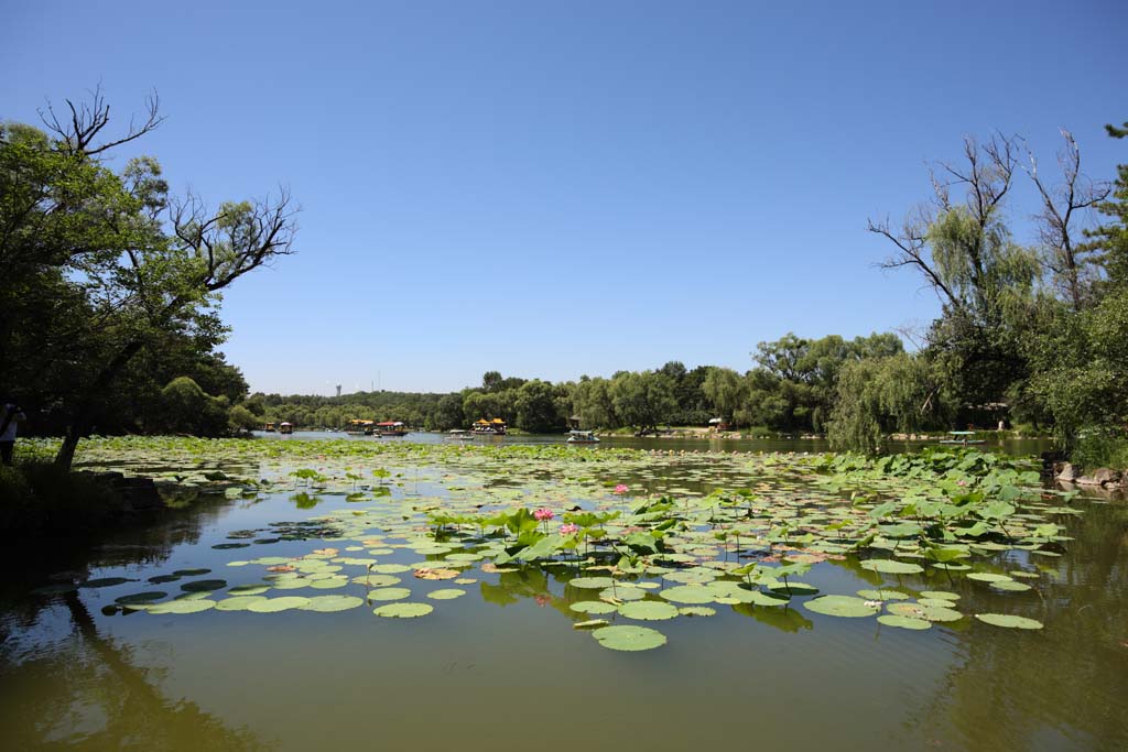 foto,tela,gratis,paisaje,fotografa,idea,Uno veranear casa de campo de montaa, Barco de recreo, Bote, Jardn, Ch 'ing