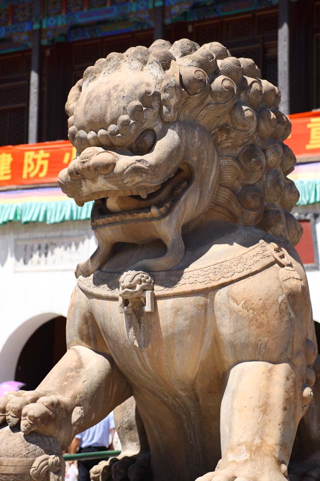 foto,tela,gratis,paisaje,fotografa,idea,Un par de PutuoZongchengTemple de tutor perros de piedra, Tibet, Chaitya, Colmillo, Len