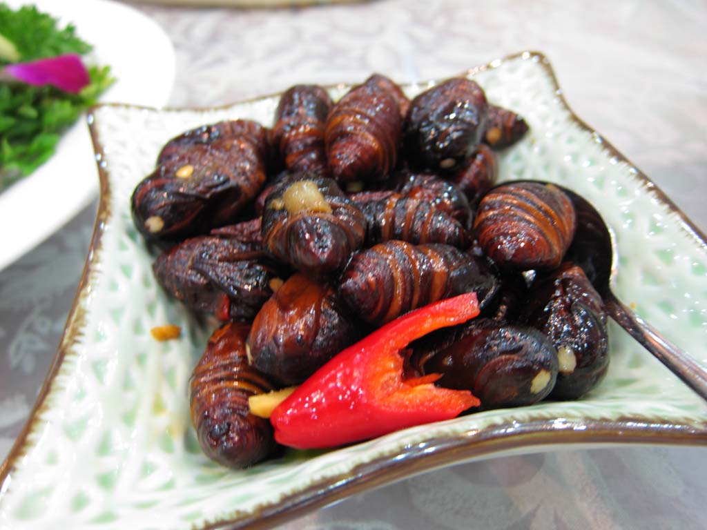 Foto, materiell, befreit, Landschaft, Bild, hat Foto auf Lager,Der Braten-wache der Seidenraupe, Seidenraupe, Puppe, Insektenessen, Chinesisches Essen