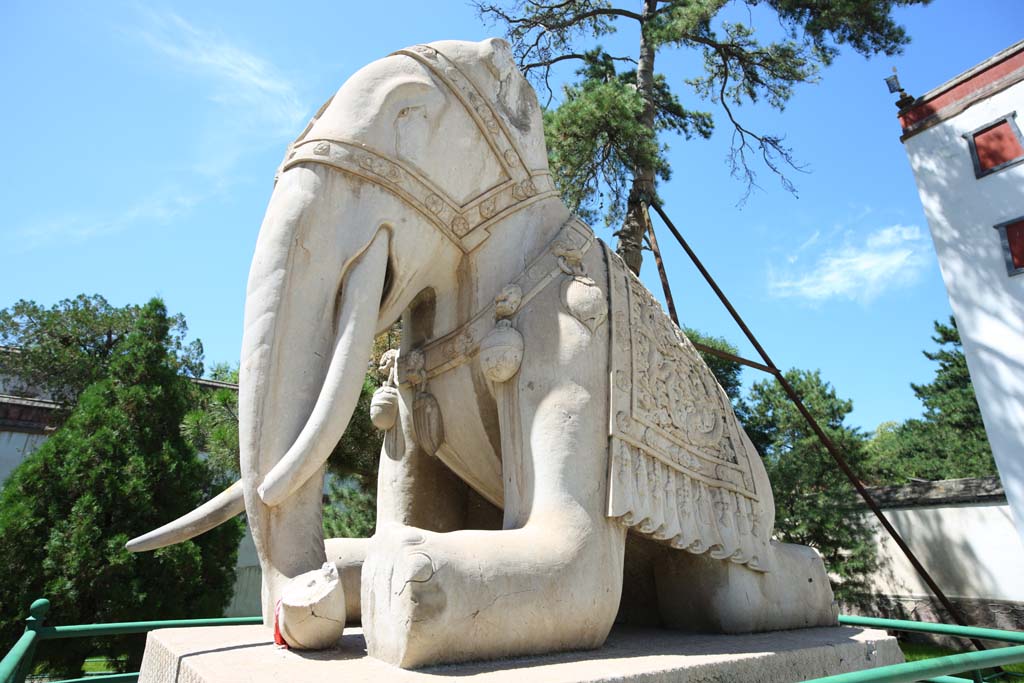 photo, la matire, libre, amnage, dcrivez, photo de la rserve,Une image d'lphant PutuoZongchengTemple, Tibet, Chaitya, Je suis splendide, lphant