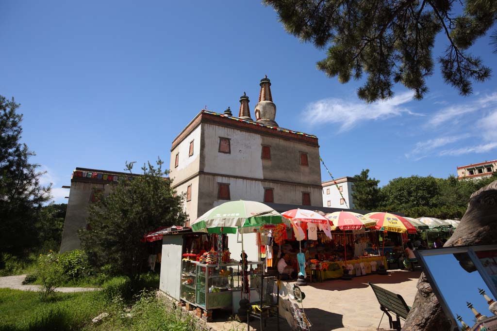 foto,tela,gratis,paisaje,fotografa,idea,Putuo Zongcheng templo, Tibet, Chaitya, , Tienda de recuerdo