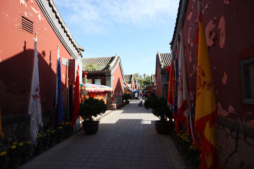 foto,tela,gratis,paisaje,fotografa,idea,Templo de Puning, Gran estatua de buda templo, Chaitya, Fe, Buddhism tibetano