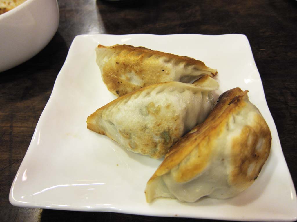 photo,material,free,landscape,picture,stock photo,Creative Commons,Pot sticker, Chinese food, gyoza, Dim sum, Pork