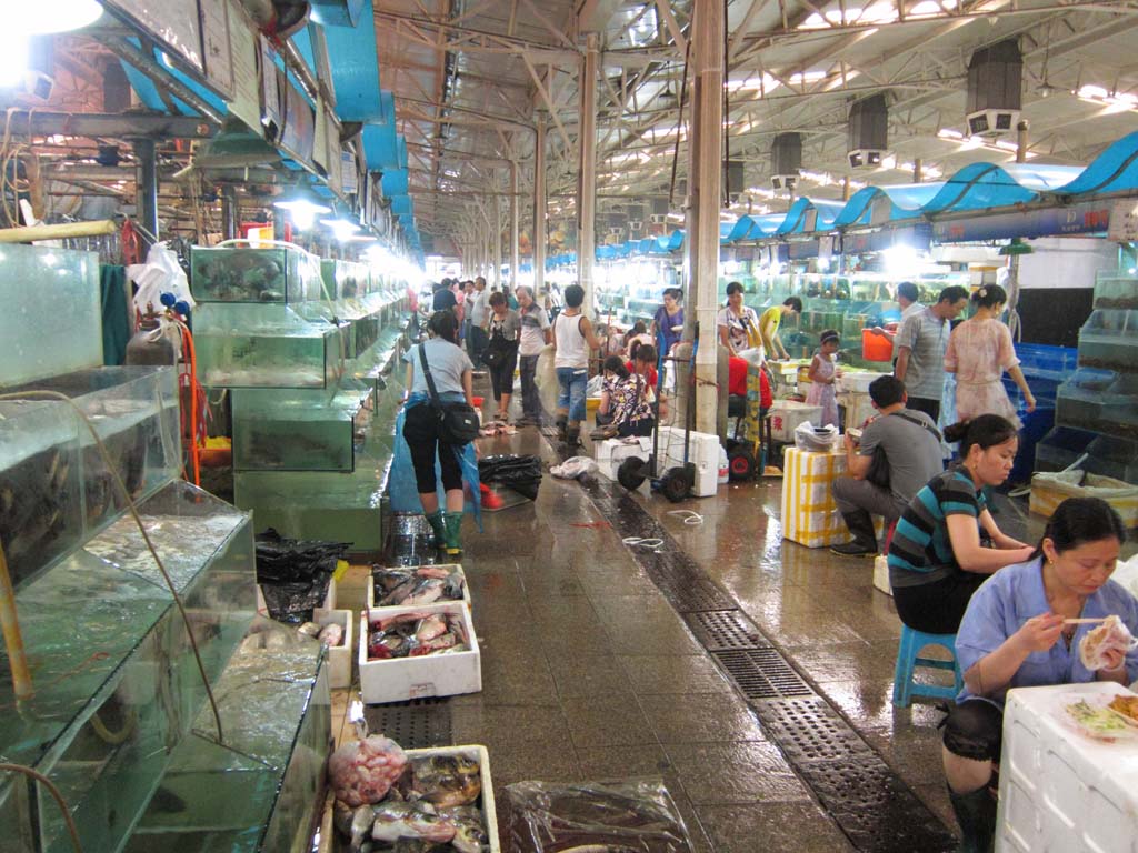 fotografia, materiale, libero il panorama, dipinga, fotografia di scorta,Un mercato di orlo orientale, negozio, mercato, i pesci fanno compere,  vivace