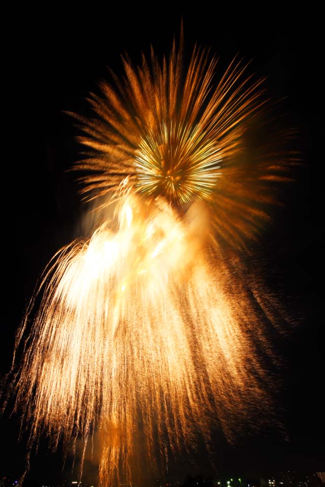 foto,tela,gratis,paisaje,fotografa,idea,Demostracin de fuegos artificiales de ro de Tama, Fuegos artificiales de lanzamiento, Lugar natural o centro que aaden el encanto potico a la estacin del verano, Fuego de seal, Luminosidad