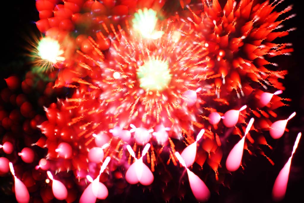 Foto, materiell, befreit, Landschaft, Bild, hat Foto auf Lager,Tama-Fluss Feuerwerk Demonstration, Das Starten von Feuerwerk, natrliche Szene oder Gegenstand, der poetischen Charme der Jahreszeit des Sommers hinzufgt, Signalfeuer, Helligkeit