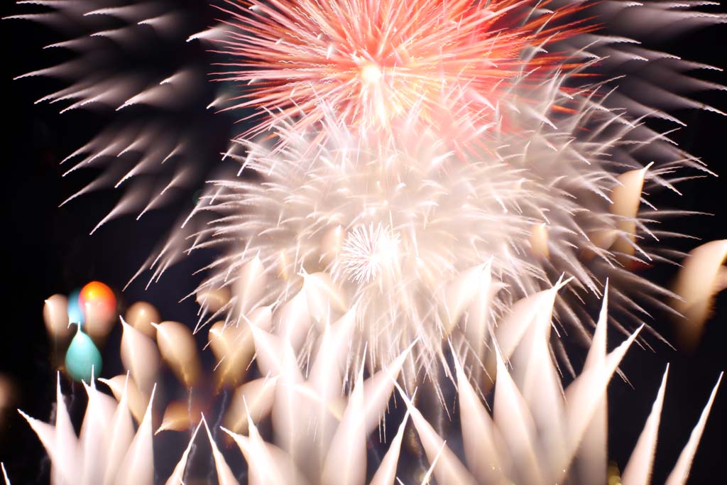 Foto, materiell, befreit, Landschaft, Bild, hat Foto auf Lager,Tama-Fluss Feuerwerk Demonstration, Das Starten von Feuerwerk, natrliche Szene oder Gegenstand, der poetischen Charme der Jahreszeit des Sommers hinzufgt, Signalfeuer, Helligkeit