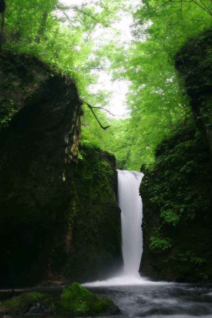 photo,material,free,landscape,picture,stock photo,Creative Commons,Ryugaeshi waterfall, waterfall, river, tender green, 