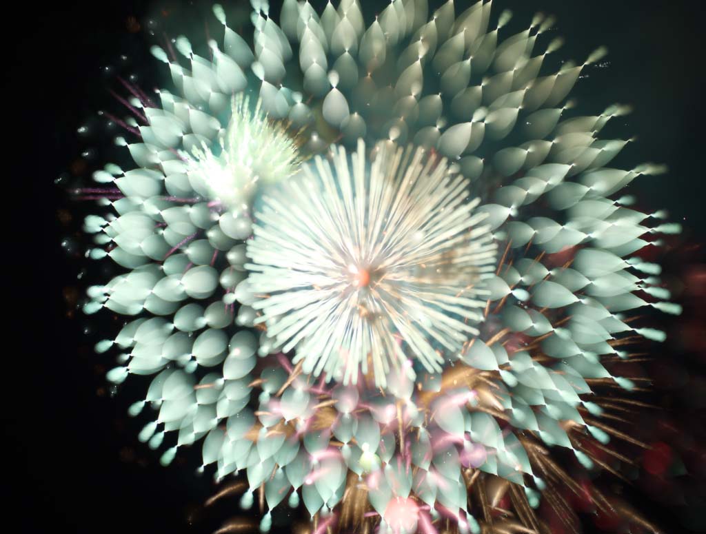 photo,material,free,landscape,picture,stock photo,Creative Commons,Tama River Fireworks Display, Launching fireworks, natural scene or object which adds poetic charm to the season of the summer, Signal fire, Brightness