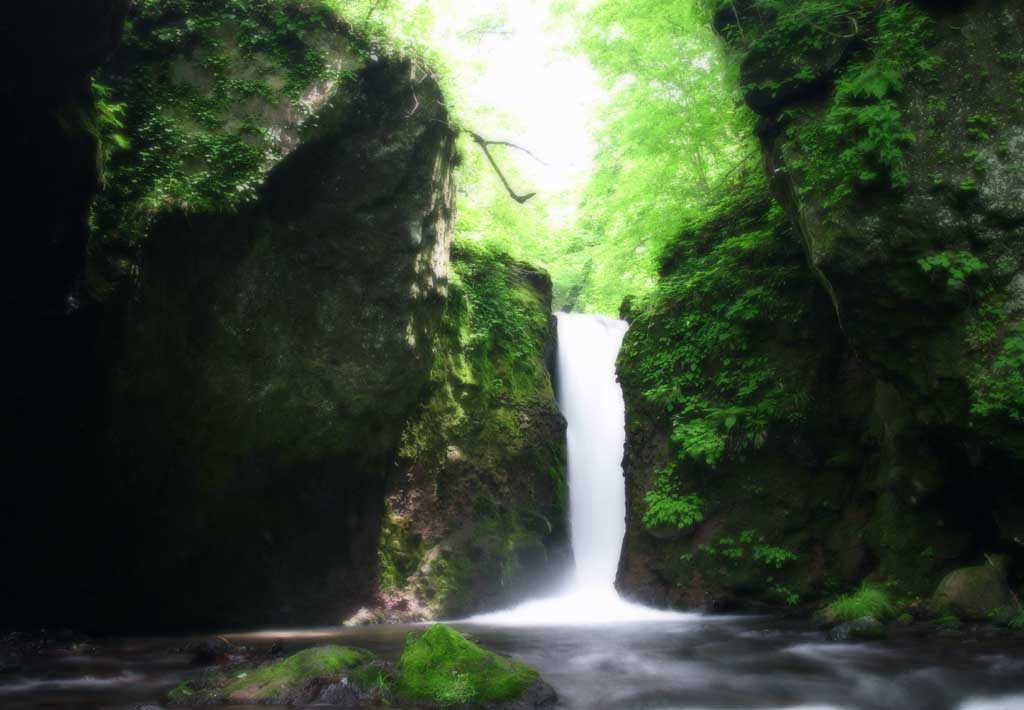 Foto, materieel, vrij, landschap, schilderstuk, bevoorraden foto,Ryugaeshi waterfall, Waterval, Rivier, Inschrijving groen, 