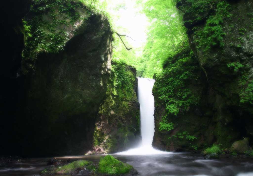 photo, la matire, libre, amnage, dcrivez, photo de la rserve,Chute d'eau Ryugaeshi, chute d'eau, rivire, vert tendre, 