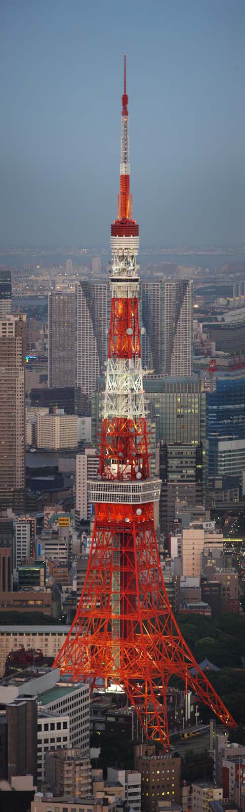 fotografia, materiale, libero il panorama, dipinga, fotografia di scorta,Torre di Tokio, Torre di Tokio, Gruppo che costruisce, L'area del centro, Rosso e bianco