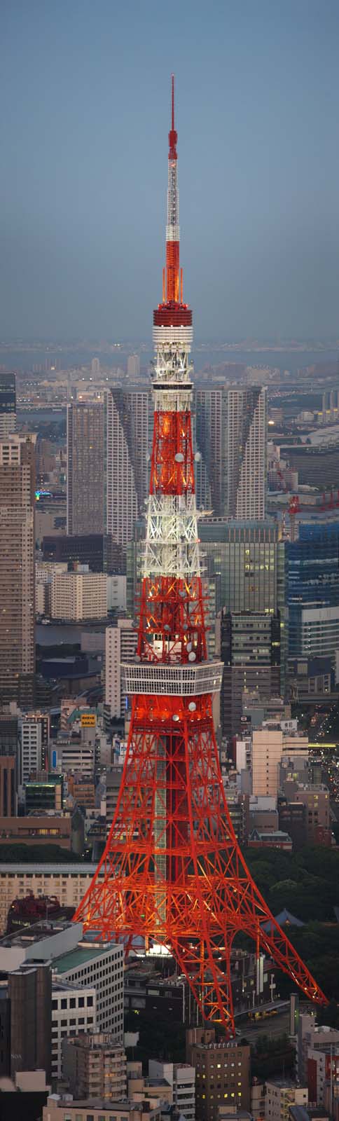 foto,tela,gratis,paisaje,fotografa,idea,Tokyo Tower, Tokyo Tower, Grupo de edificio, La rea del centro de la ciudad, Rojo y blanco