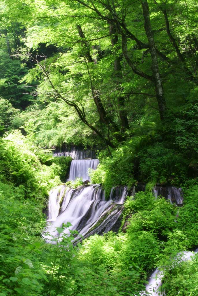 fotografia, materiale, libero il panorama, dipinga, fotografia di scorta,Passi di cascate, cascata, ruscello, verde tenero, fiume