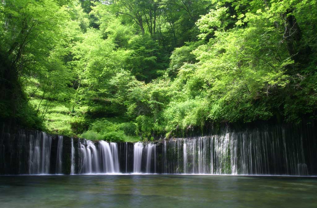 Foto, materieel, vrij, landschap, schilderstuk, bevoorraden foto,Shiraito niet-taki, Waterval, Kreek, Inschrijving groen, Rivier