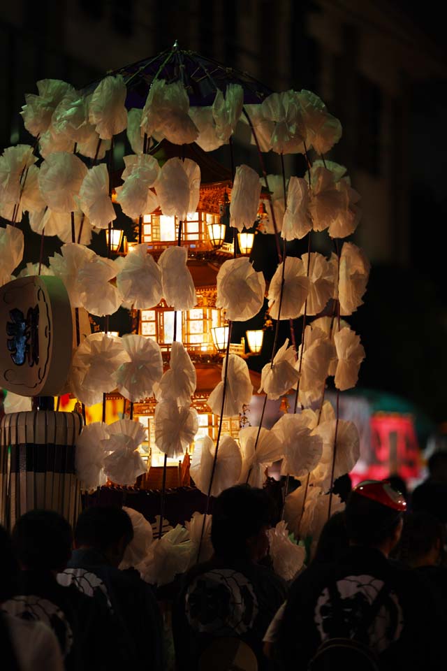 fotografia, materiale, libero il panorama, dipinga, fotografia di scorta,Servizio commemorativo buddista molte lampade, torre per Taho-nyorai, Molti splendono, linea, fiore artificiale