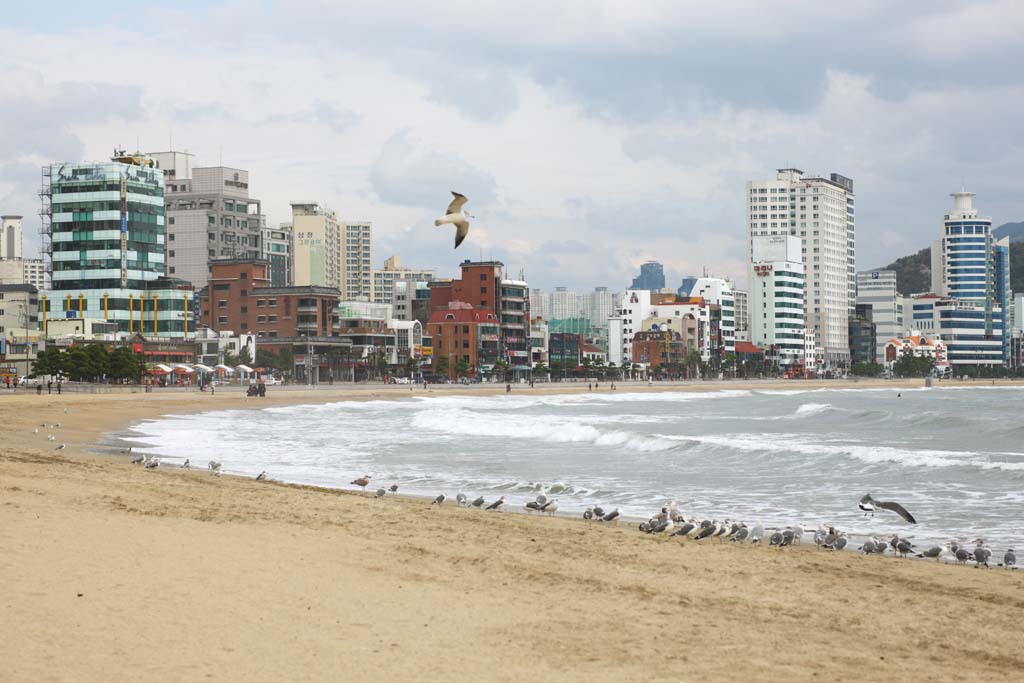 fotografia, materiale, libero il panorama, dipinga, fotografia di scorta,Pusan Guangan il villaggio, onda, spiaggia sabbiosa, costruendo, Il mare