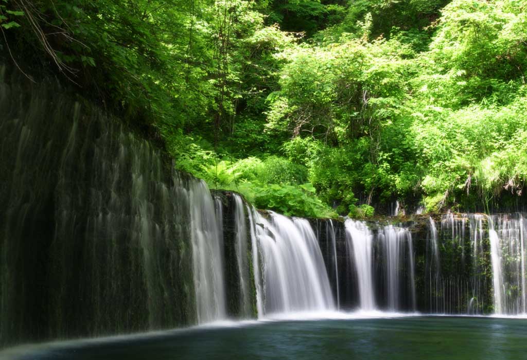 Foto, materiell, befreit, Landschaft, Bild, hat Foto auf Lager,Shiraito-kein-taki, Wasserfall, Strom, zartes Grn, Fluss