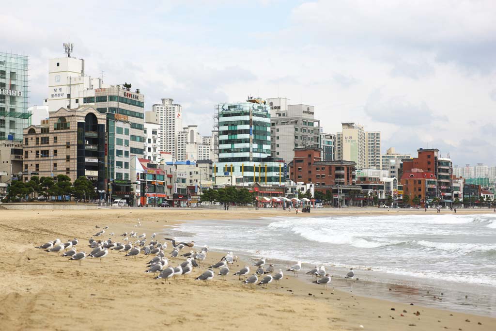 foto,tela,gratis,paisaje,fotografa,idea,Pueblo de Guangan de Pusan, Ola, Playa arenosa, Edificio, El mar