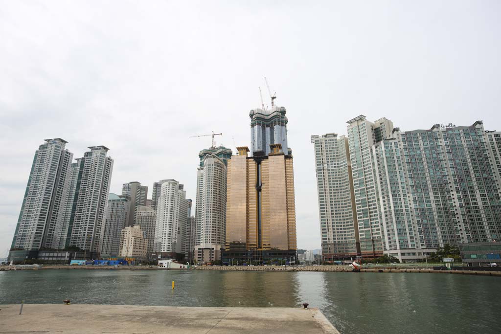 foto,tela,gratis,paisaje,fotografa,idea,El mar se desarrollar sobre terreno elevado, Puerto, Un departamento, Edificio, El mar