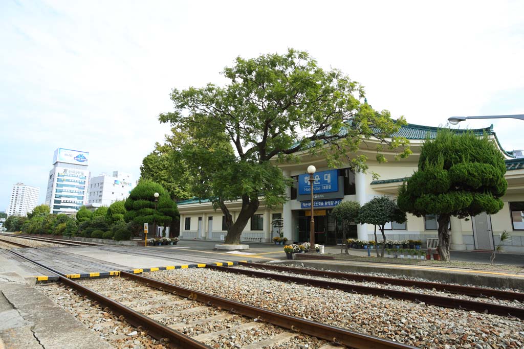 fotografia, materiale, libero il panorama, dipinga, fotografia di scorta,Edificio marittimo su Stazione di terra alta, piattaforma, KORAIL, tetto, pista