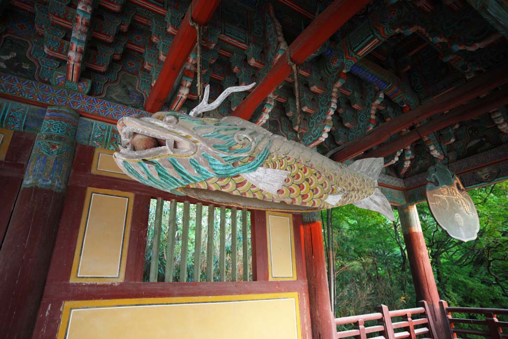 Foto, materiell, befreit, Landschaft, Bild, hat Foto auf Lager,Der Landtempel eines Buddha Fisch-formte hlzerne Trommel, Chaitya, Faith, Buddhismus, hlzerner Gong