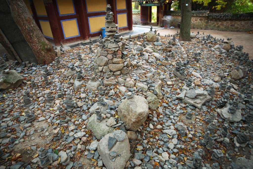 fotografia, material, livra, ajardine, imagine, proveja fotografia,O templo de terra de Buda esforo ftil, Chaitya, Empilhar-pedras, Budismo, Faith