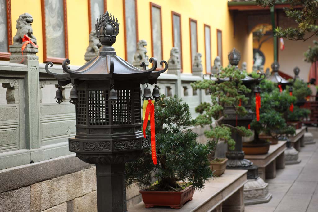 fotografia, materiale, libero il panorama, dipinga, fotografia di scorta,Un tempio di palla, Chaitya, lanterna orto, bonsai, Faith