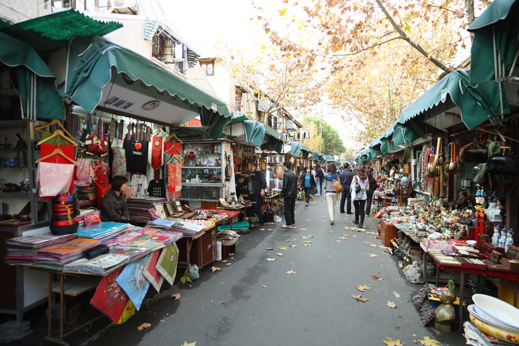 photo, la matire, libre, amnage, dcrivez, photo de la rserve,Une rue de la curiosit, magasin, Vtements, arbre au bord de la route, travail d'art