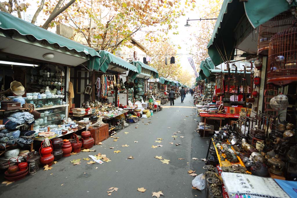 photo,material,free,landscape,picture,stock photo,Creative Commons,A curio street, store, Ceramics, roadside tree, work of art