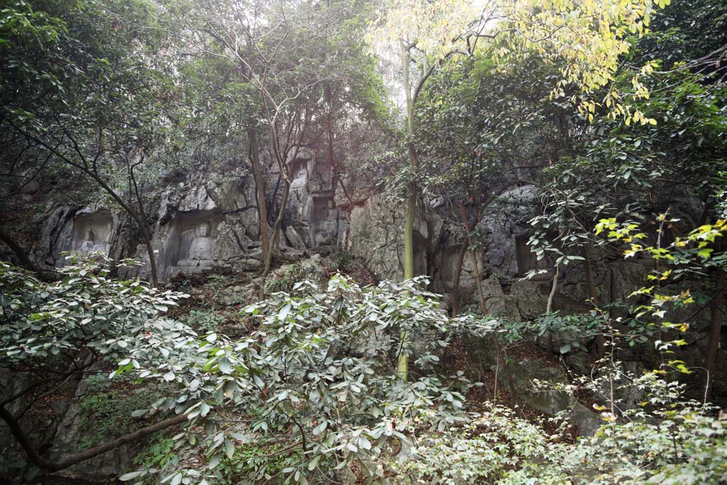 fotografia, materiale, libero il panorama, dipinga, fotografia di scorta,Un'immagine di HangzhouLingyingTemple di Budda scrisse sulla rupe levigata, Buddismo, Ishibotoke, Immagine buddista, Faith