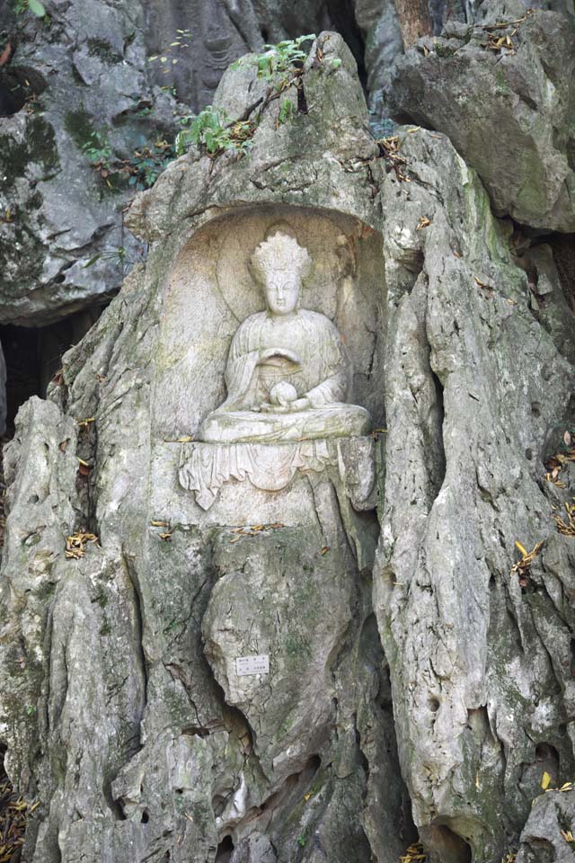 fotografia, material, livra, ajardine, imagine, proveja fotografia,Uma imagem de HangzhouLingyingTemple de Buda se inscreveu no precipcio polido, Budismo, Ishibotoke, Imagem budista, Faith