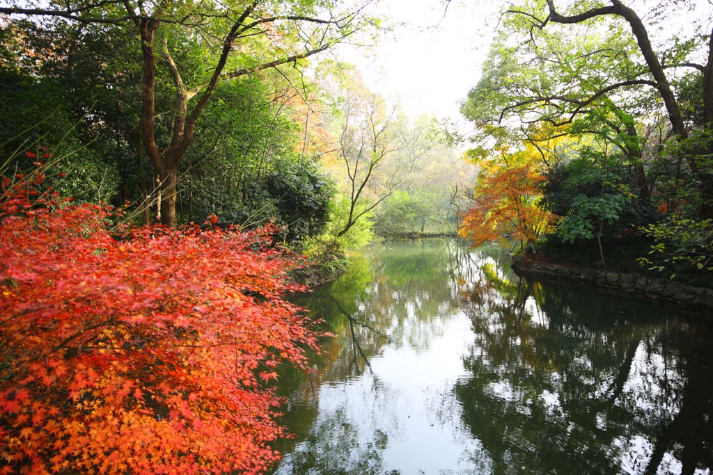 photo,material,free,landscape,picture,stock photo,Creative Commons,An outlook on port of flower fish, waterside, Saiko, The surface of the water, Stillness