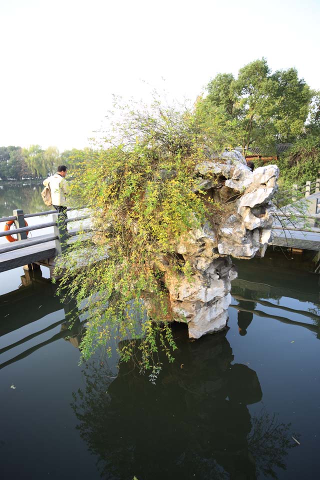 Foto, materiell, befreit, Landschaft, Bild, hat Foto auf Lager,Drei Schwimmbder, die den Mond spiegeln, Garten, Saiko, Oberflche eines Sees, Neun Stcke Brcke