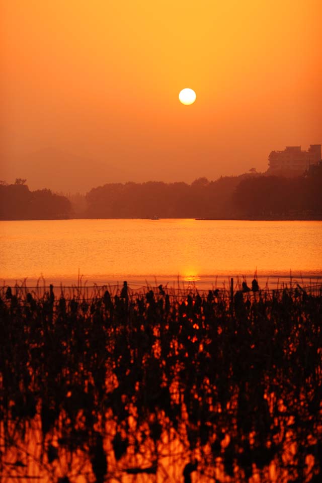 foto,tela,gratis,paisaje,fotografa,idea,Anochecer del lago de Xi - hu, , El sol, Sol poniente, La superficie del agua