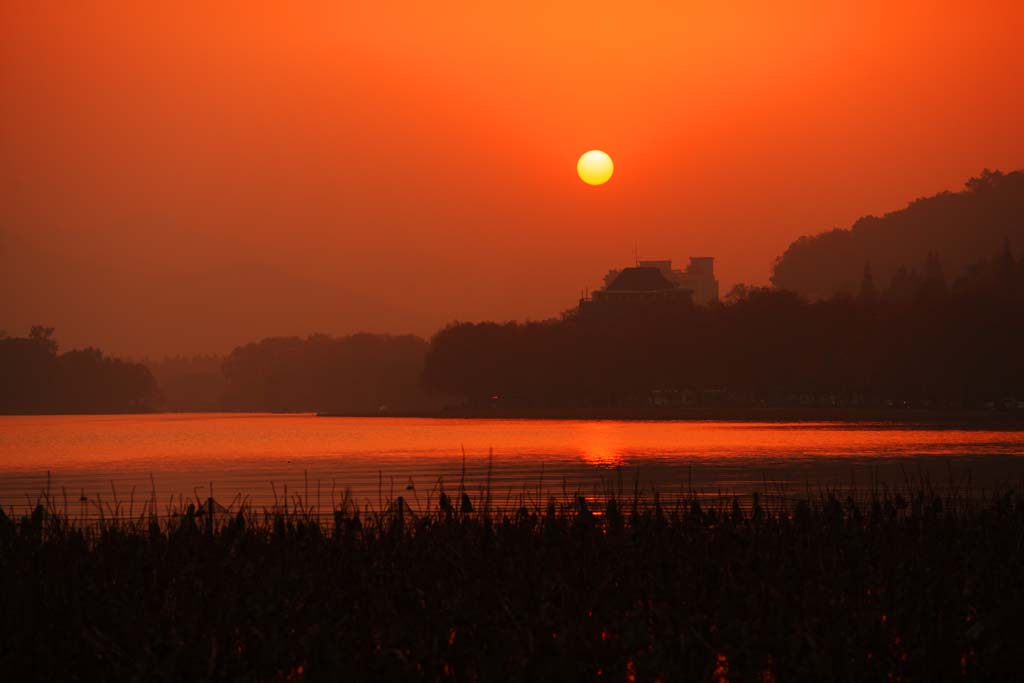 fotografia, material, livra, ajardine, imagine, proveja fotografia,Crepsculo do Xi-hu lago, loto, O sol, Pr-do-sol, A superfcie da gua