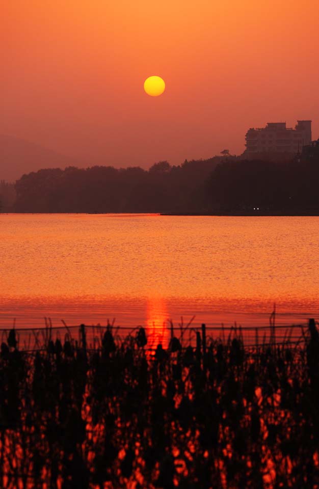 photo,material,free,landscape,picture,stock photo,Creative Commons,Dusk of the Xi-hu lake, lotus, The sun, Setting sun, The surface of the water