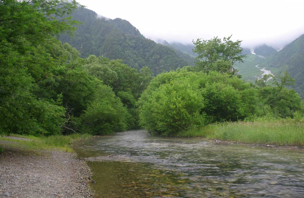 fotografia, materiale, libero il panorama, dipinga, fotografia di scorta,Ruscello ed alberi, fiume, albero, acqua, montagna