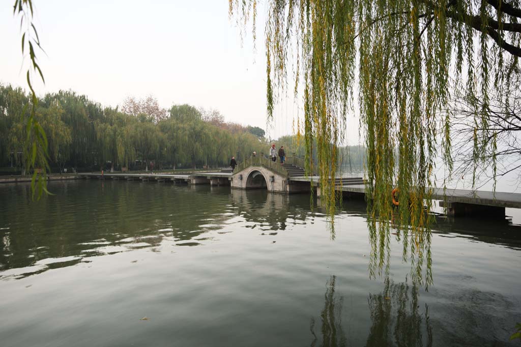 foto,tela,gratis,paisaje,fotografa,idea,Lago de xi - hu, Puente, Saiko, Sauce, 