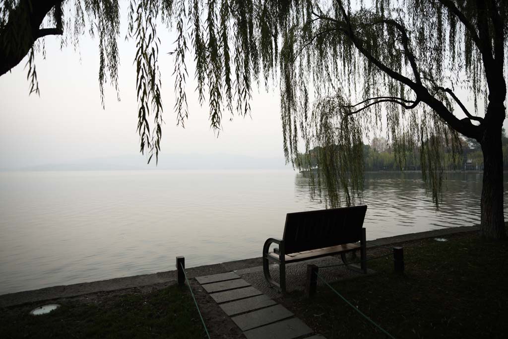 Foto, materieel, vrij, landschap, schilderstuk, bevoorraden foto,Xi-hu plas, Vlak van een plas, , Wilg, Rechtbank