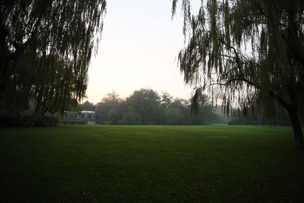 photo,material,free,landscape,picture,stock photo,Creative Commons,Xi-hu lake, lawn, Saiko, willow, 