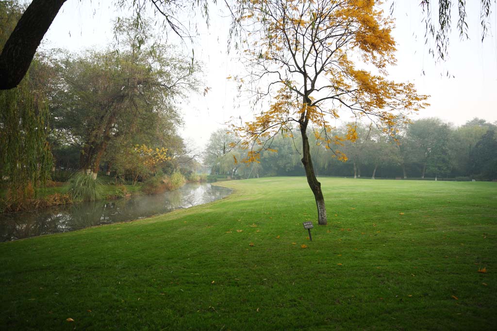 fotografia, materiale, libero il panorama, dipinga, fotografia di scorta,Xi-hu il lago, fiume, Saiko, salice, 