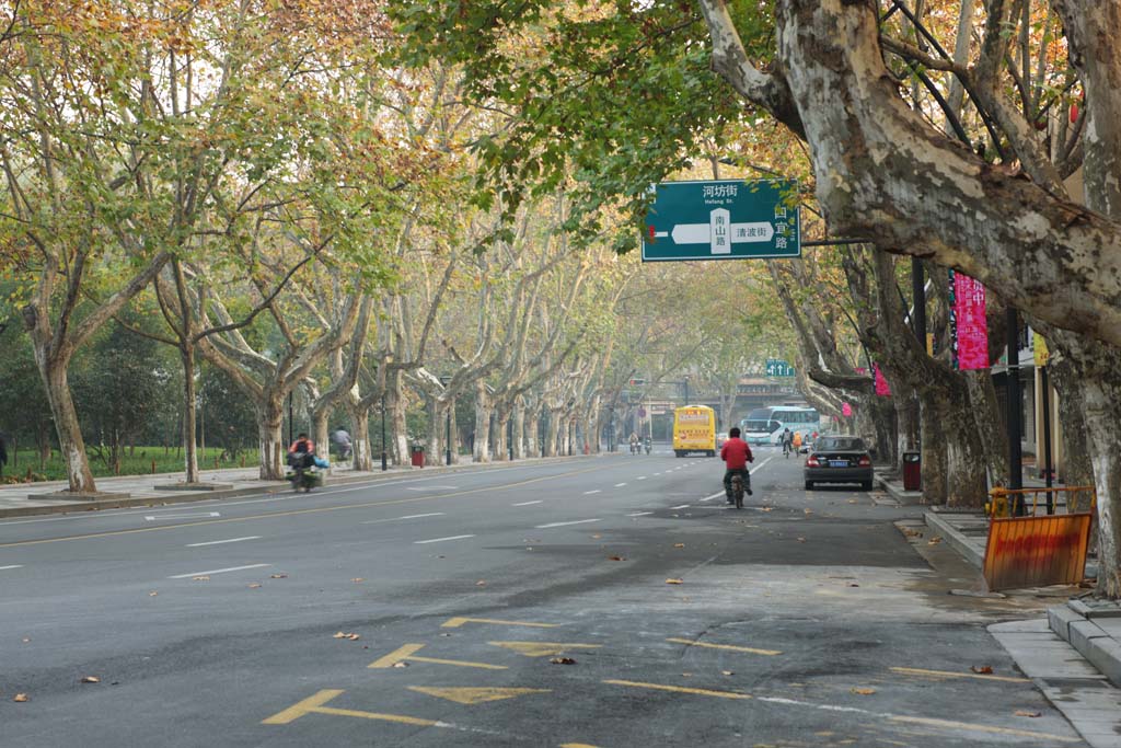 fotografia, material, livra, ajardine, imagine, proveja fotografia,Fila de casas ao longo de uma rua de cidade de Hangzhou, rvore plana, estrada, carro, rua